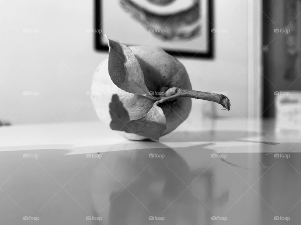 Lemon white and black