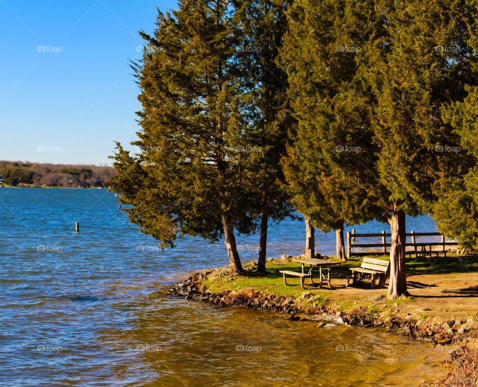 Empty bench near the lake