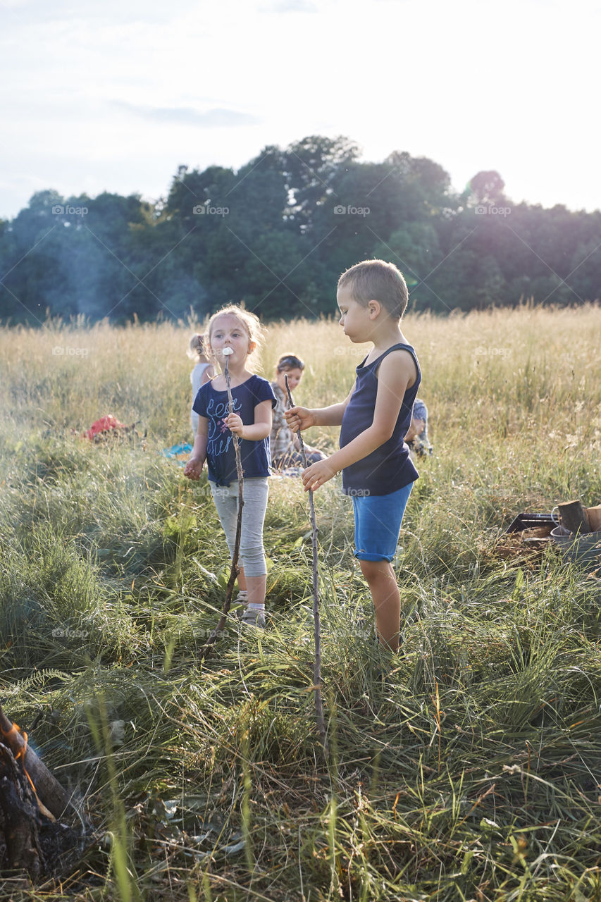 Children eating a marshmallows after roasting them over a campfire on a meadow. Candid people, real moments, authentic situations