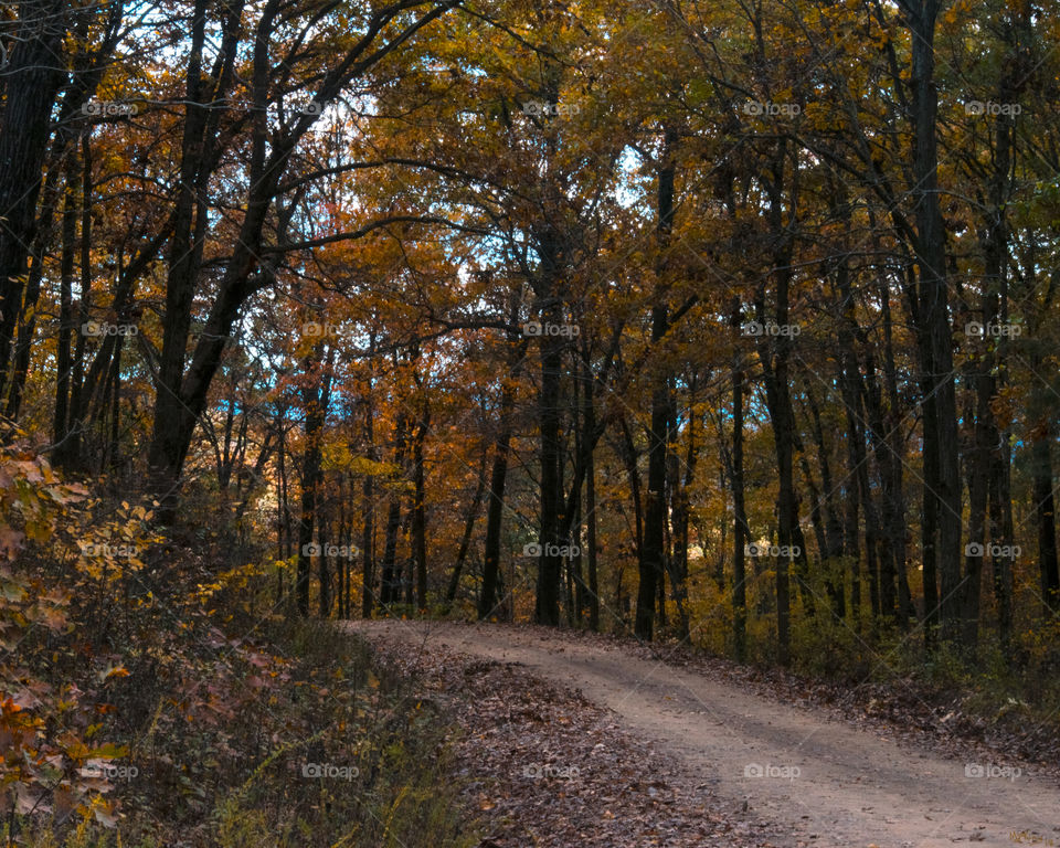 Colorful Lonesome Path