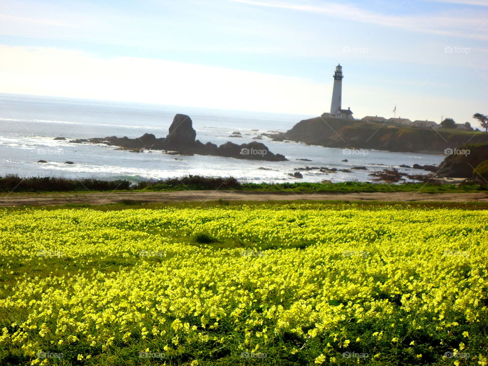 Yellow field and lighthouse