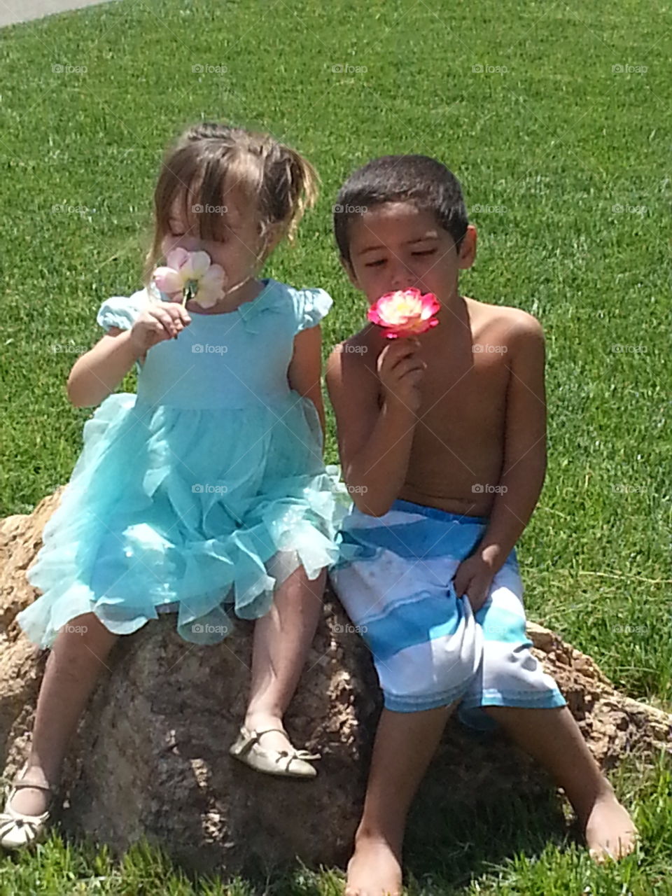 stop and smell the roses