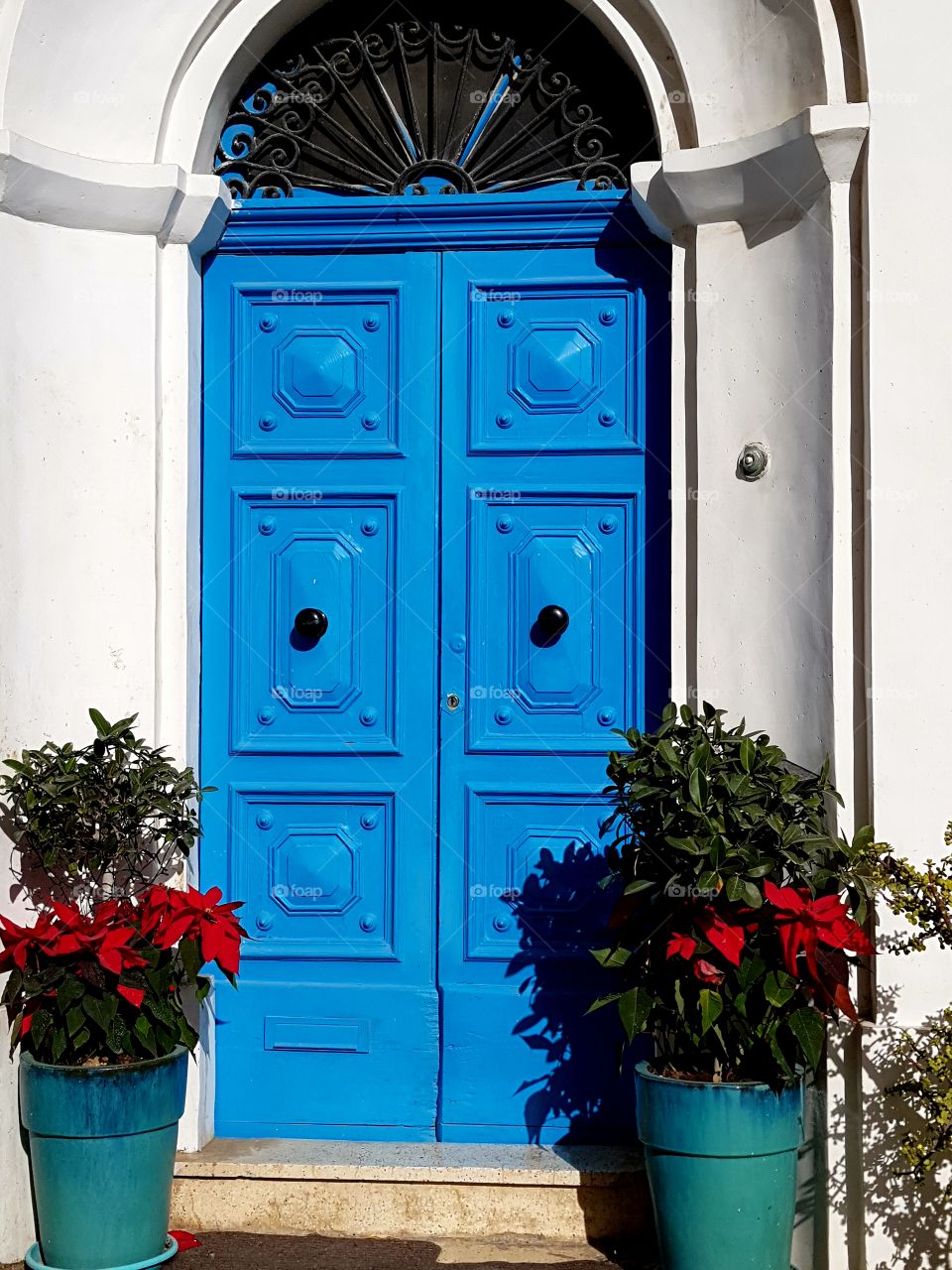 perfectly symmetrical blue door