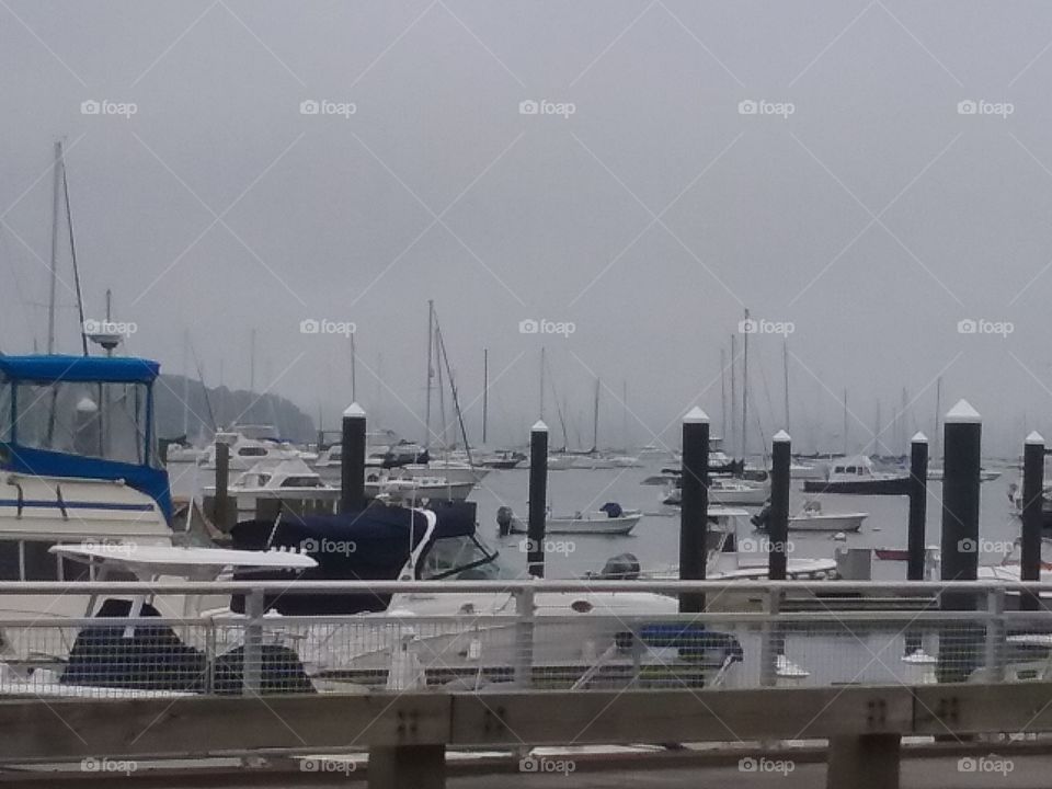 Foggy morning in Northport village harbor.