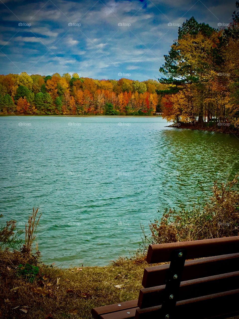 Blue lake and colorful trees