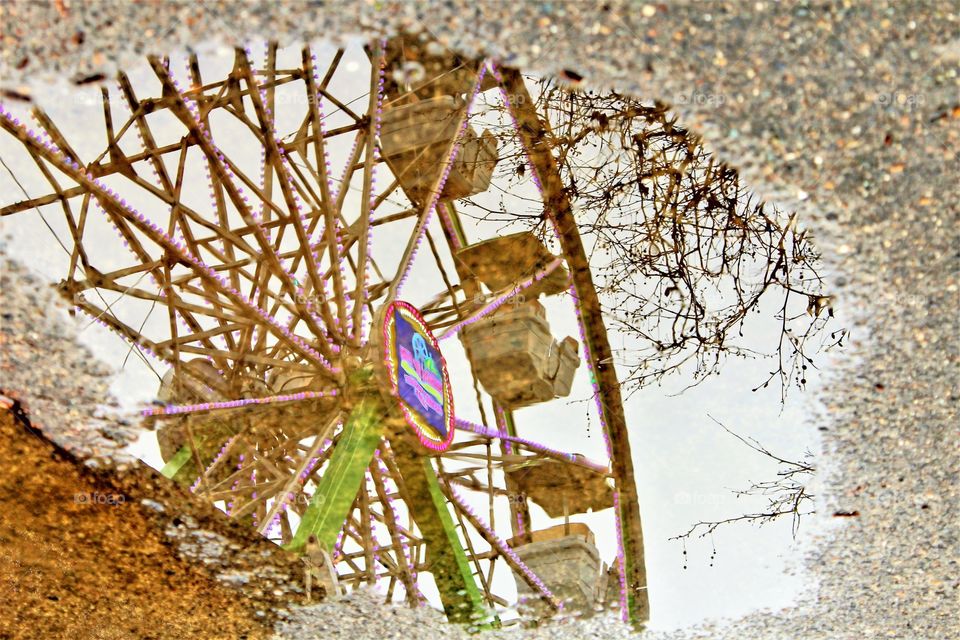 rain puddle reflection of a ferris wheel on the boardwalk in downtown Sacramento