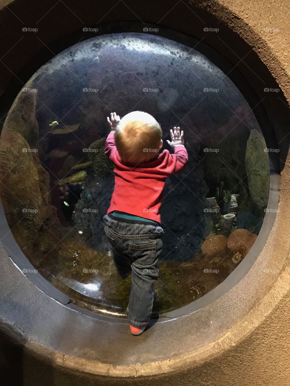 Exploring the zoo