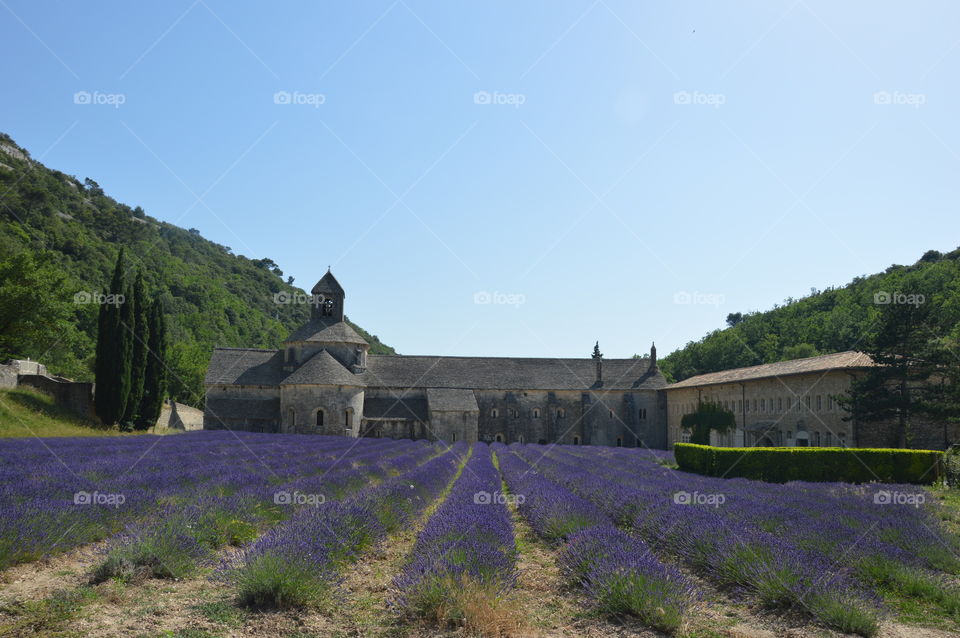 Abbaye Notre dame de Senanque, France 🇫🇷