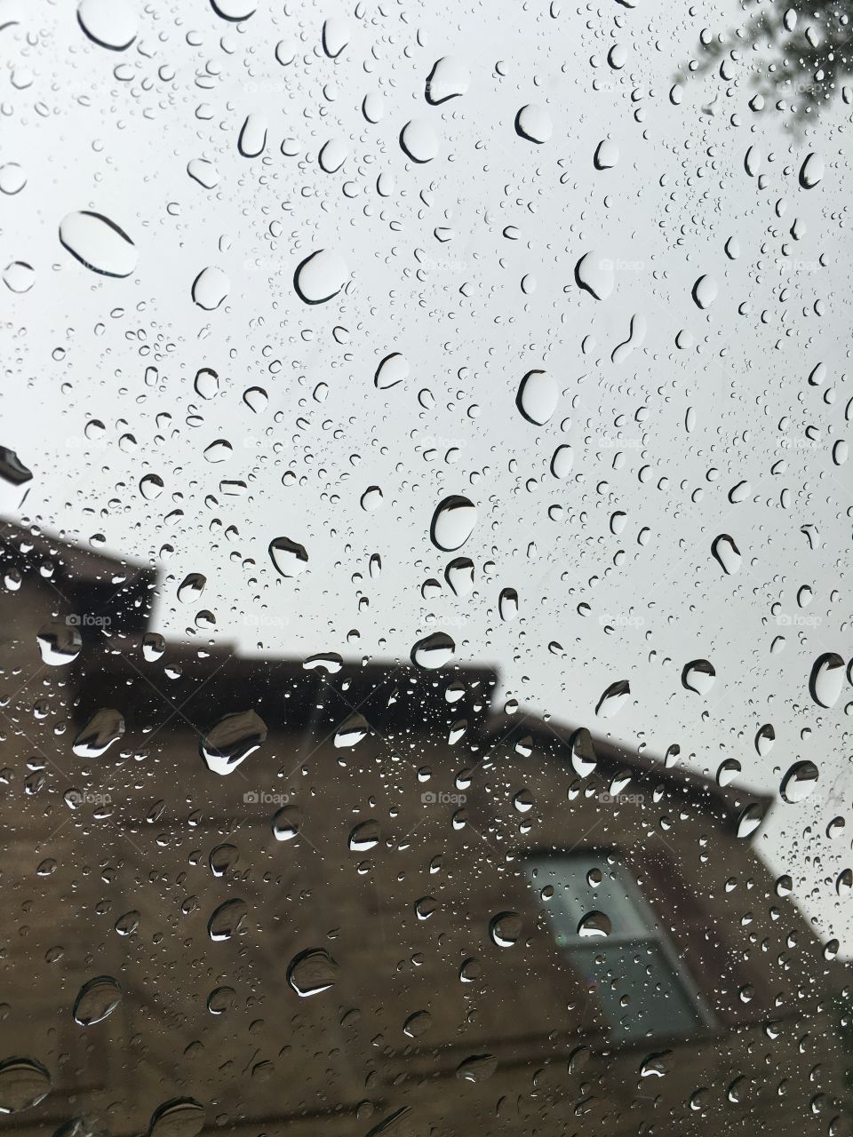 Rain 🌧