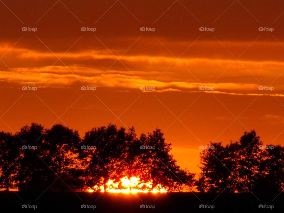 Sonnenuntergang hinter den Bäumen