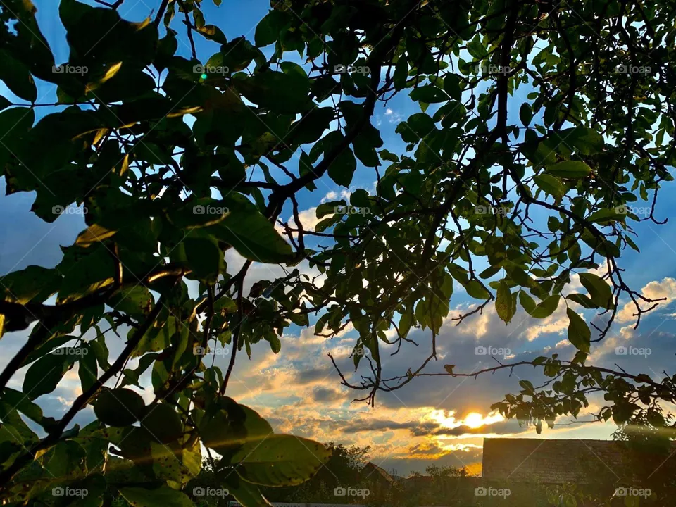 Sun and sky 
