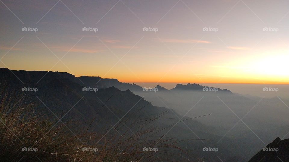 Nature does not hurry, yet everything is accomplished."