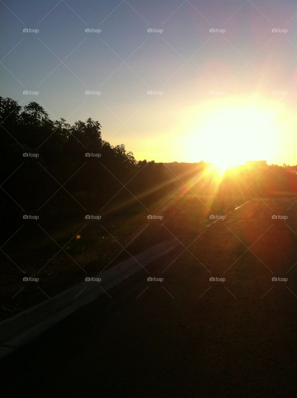 ☀️#Sol muito bonito de #natureza e #beleza indescritíveis.
Obrigado, #MãeTerra. 
🌱
#inspiração #amanhecer #morning #fotografia #paisagem #sun #céu #landscapes