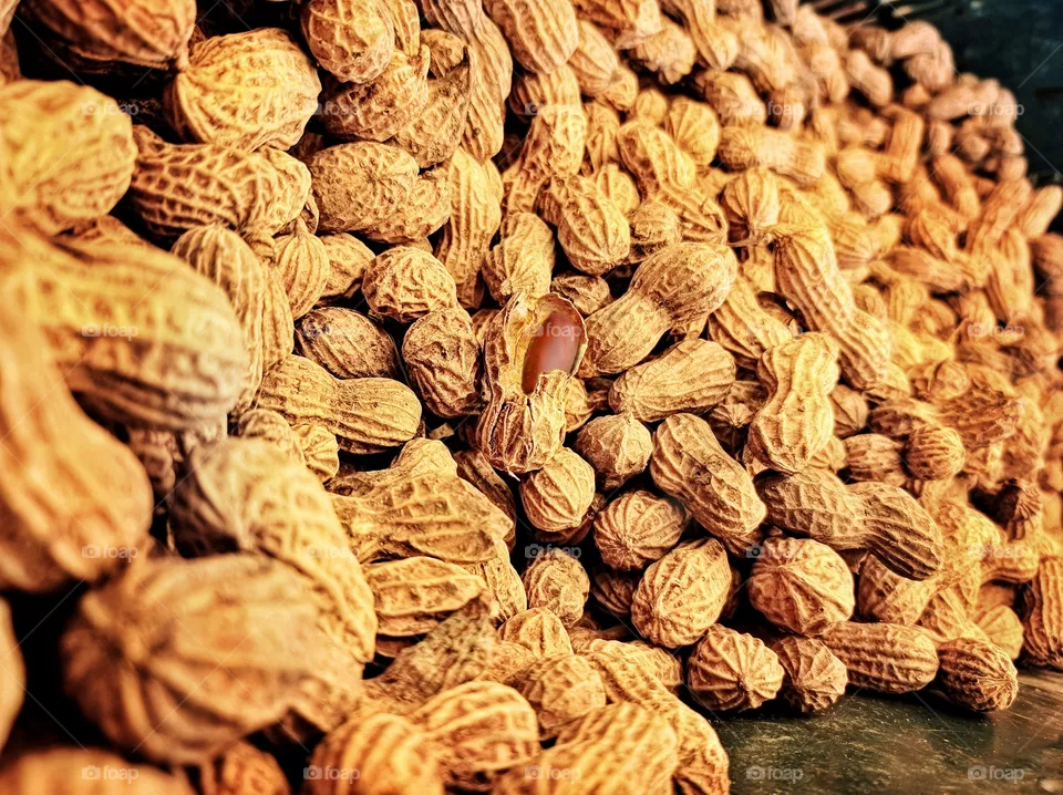 Peanut
