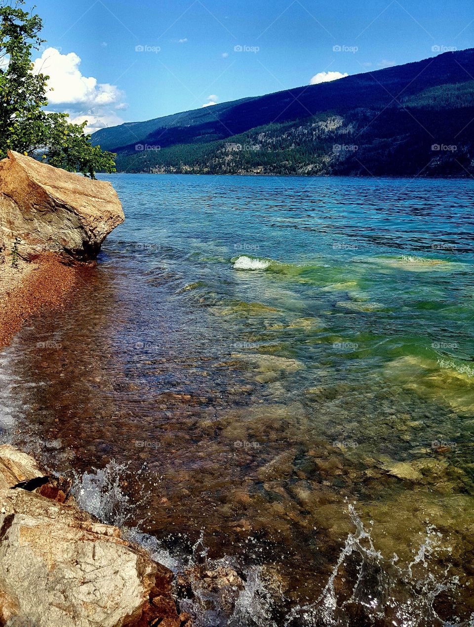 The Motion of Water.
The Notion Of Life 🌊