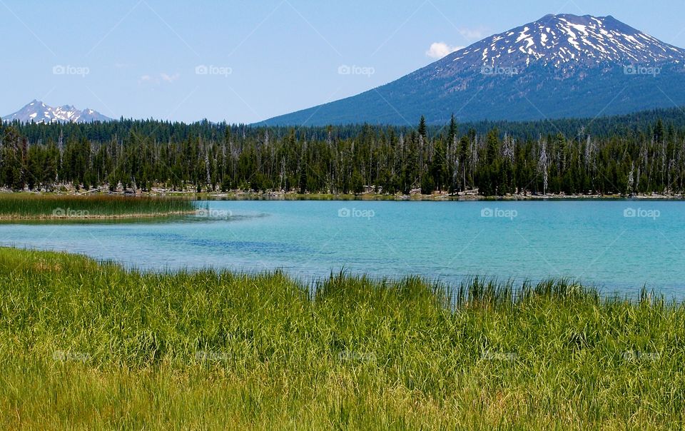 Lava Lake in Oregon’s Cascade Mountains with bright green reeds on the foreground shore and forest and foothills on the background shore and Mt. Bachelor and Broken Top towering above on a sunny summer day. 