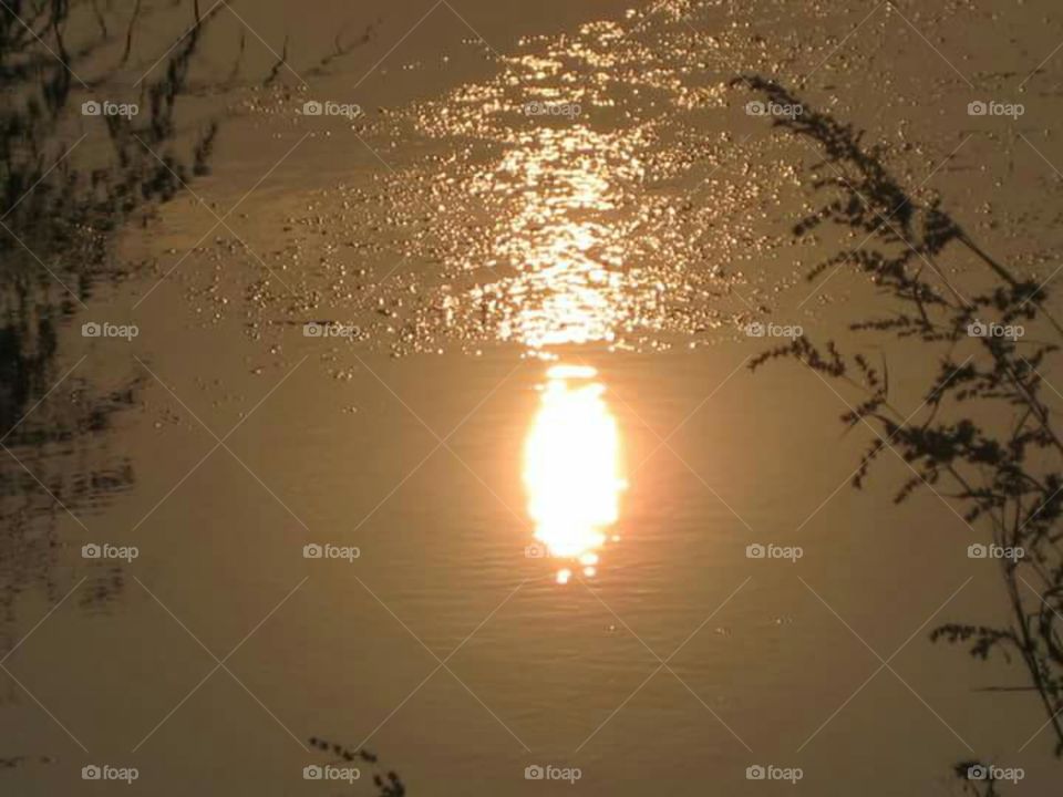 Sun image on water surface