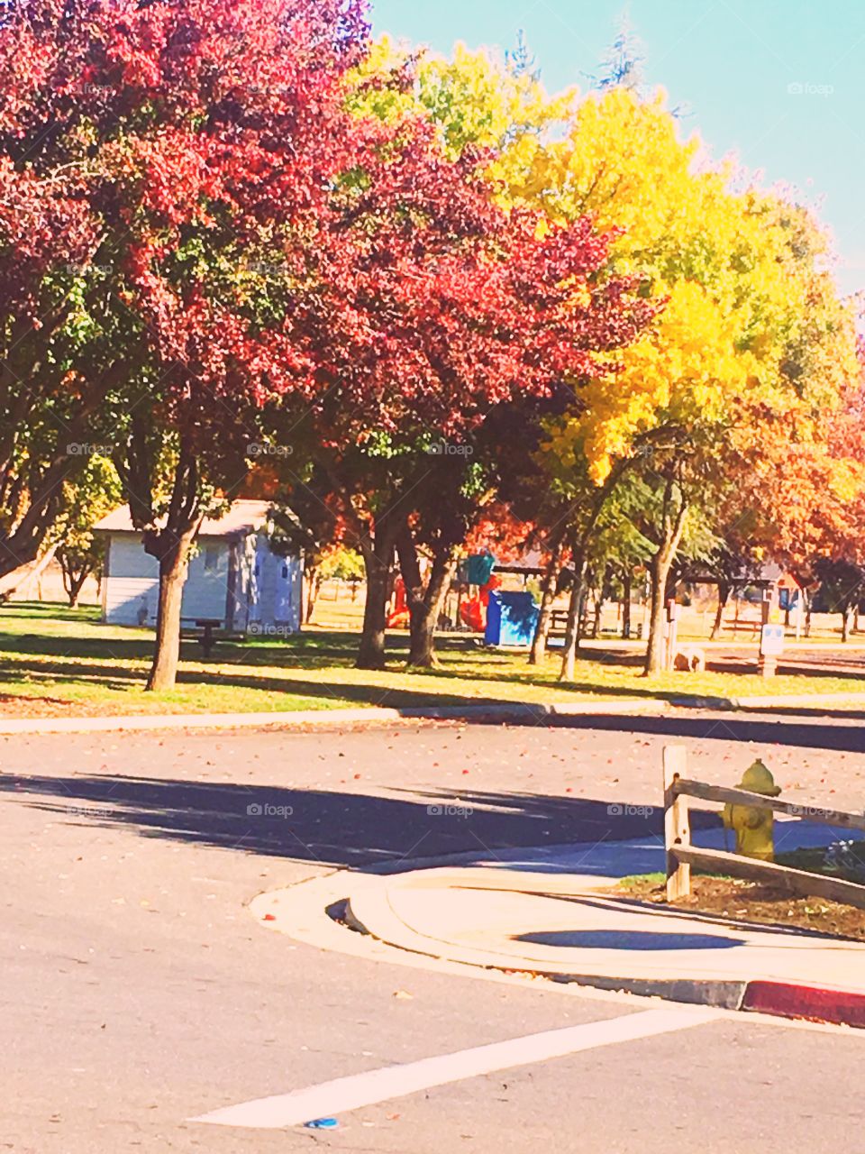 Hun ermoso parque con sus árboles de colores
