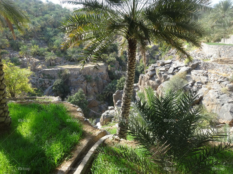 scenery in Oman
