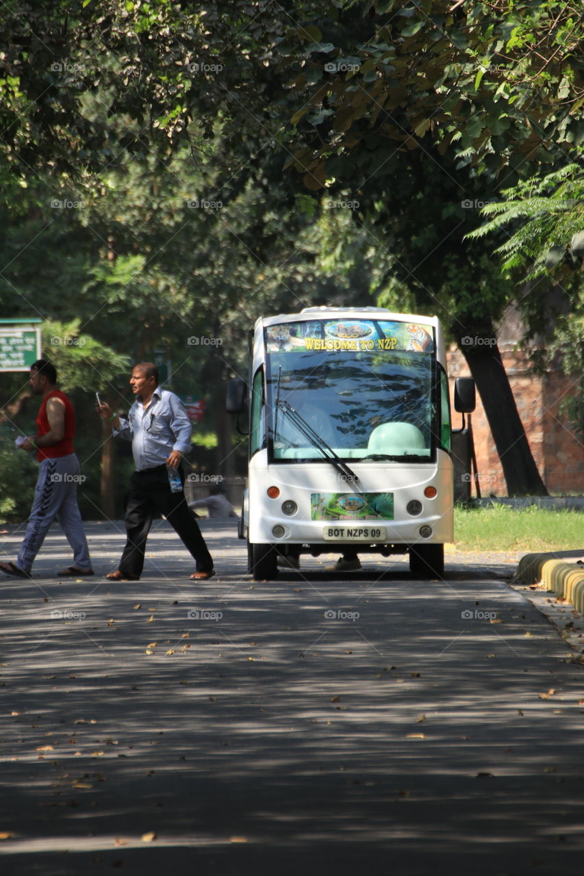 Electric vehicles inside National Zoological Park