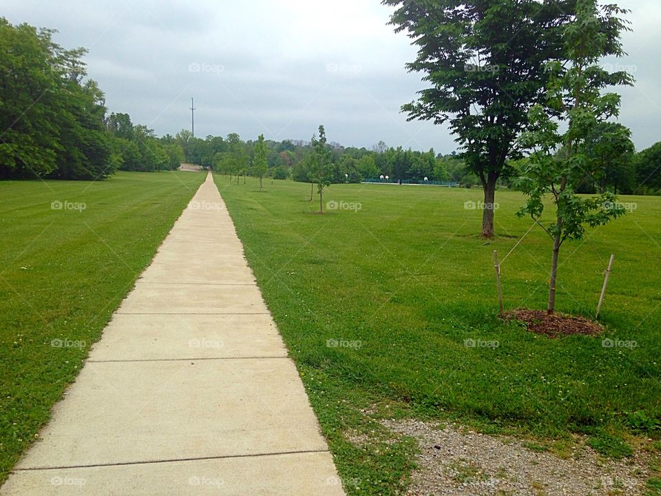 Long path. A long path through the local park