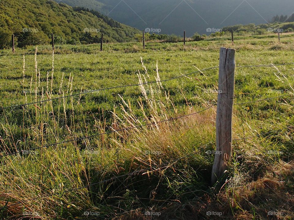 Pastures and fields surrounded by wire fencing on wooden posts amongst the tree covered hills in the countryside of rural Luxembourg on a summer day. 