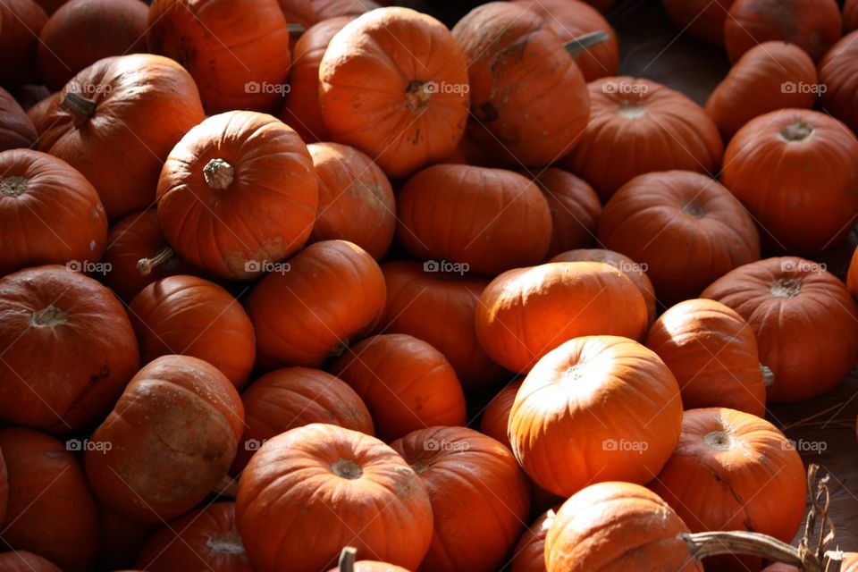 Pumpkin pile