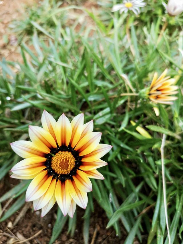 Spring has arrived