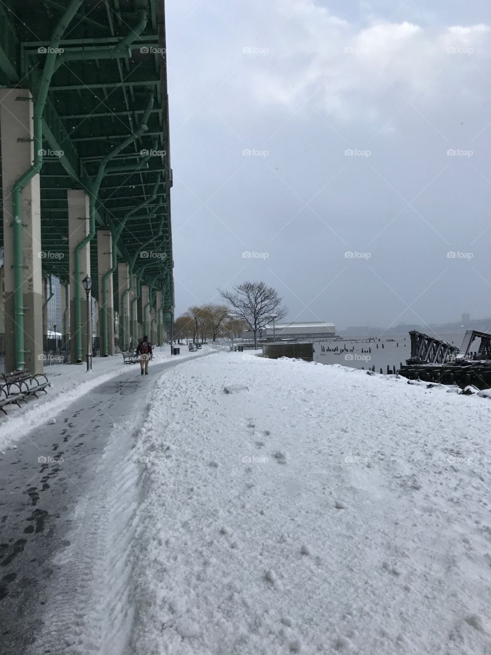 Snowstorm, Riverside Park, NYC 
