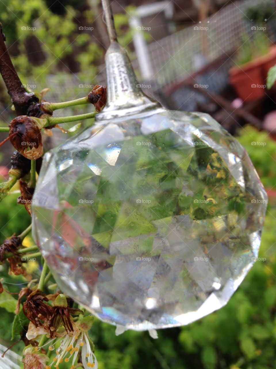 Glass ball