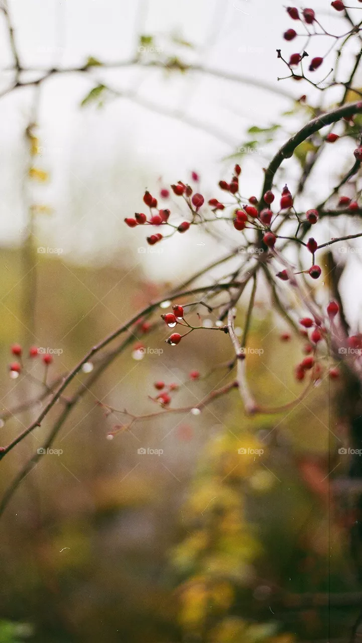 Nature......I