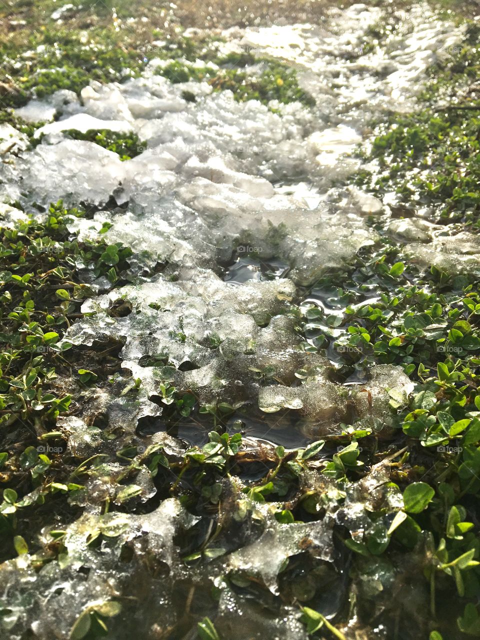 Melting Morning Snow