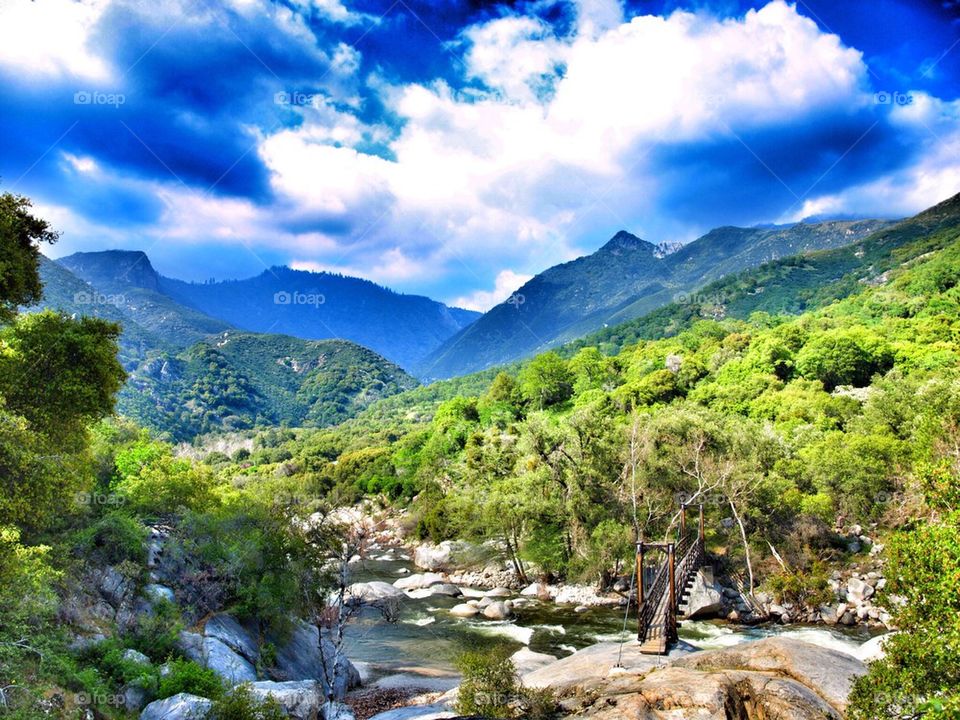 Sequoia bridge vista