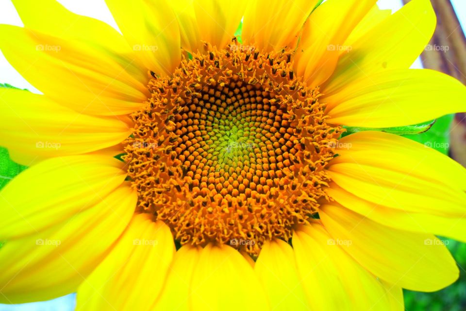 Up close and personal 