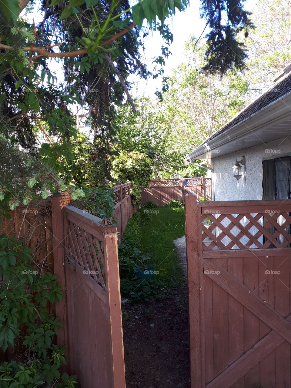 A neatly fenced backyard with greenery