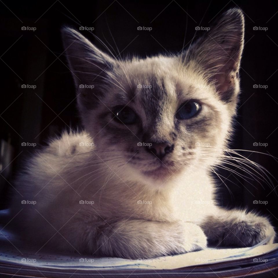 Leroy listens attentively in class.