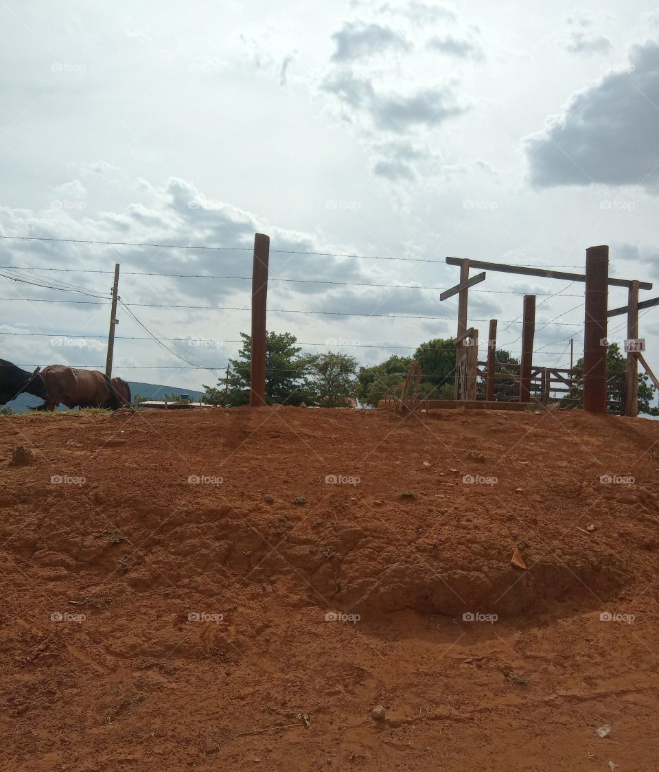 Editors'Choice Photo of the