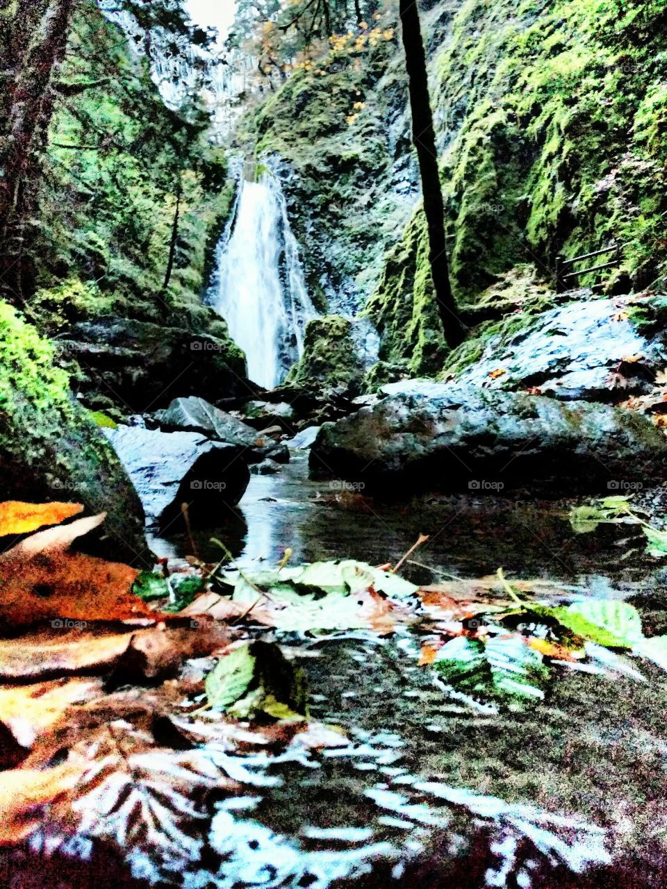 Susan Creek falls