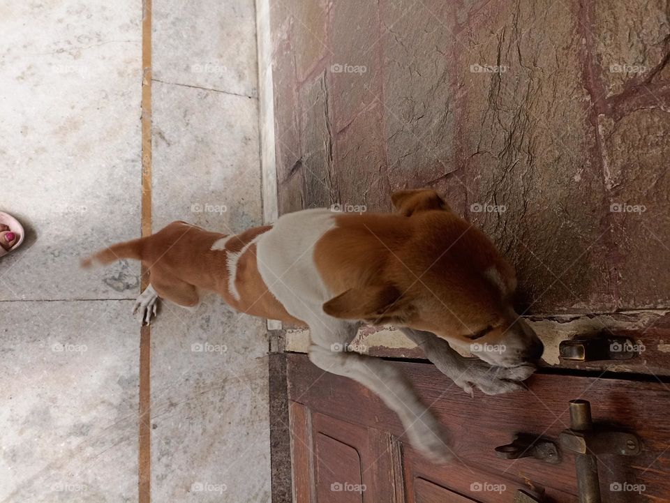 open I wanna come in