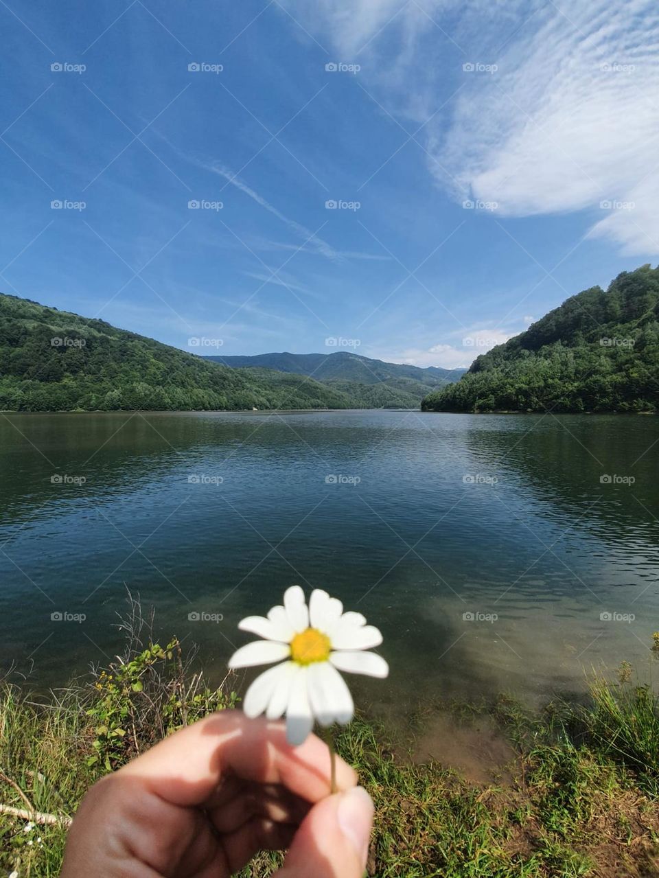 Forests and lake