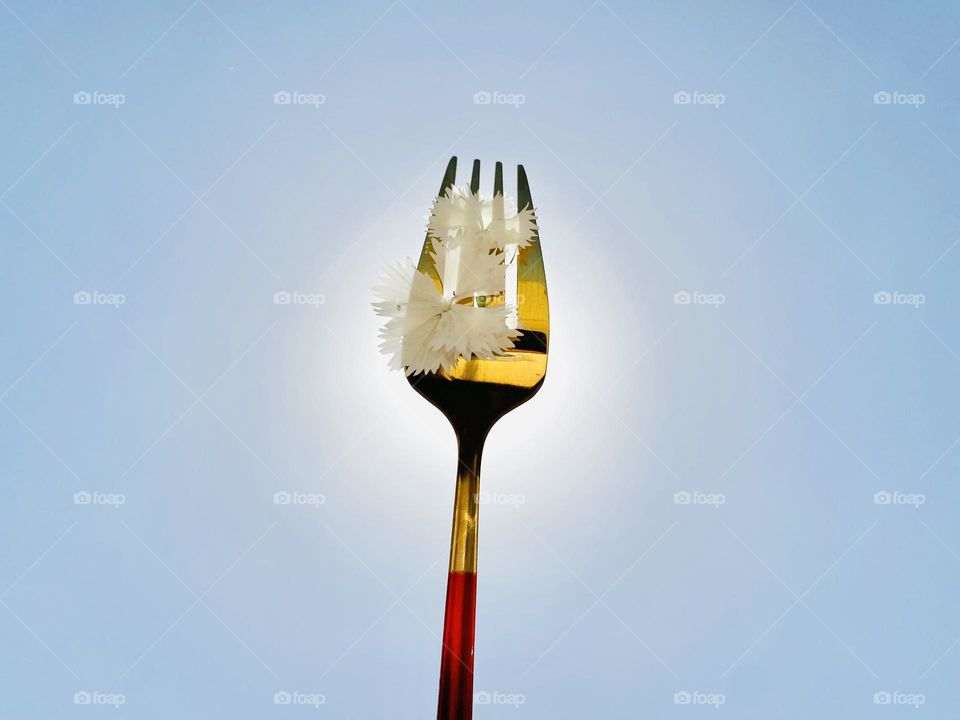 Fork 