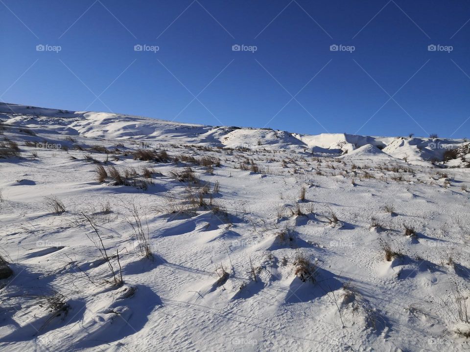 On the snow-covered hill