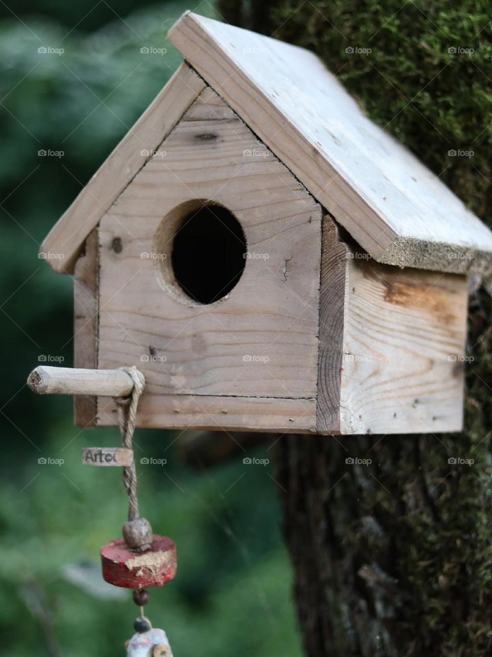 found a beautiful bird's nest next to the forest hut