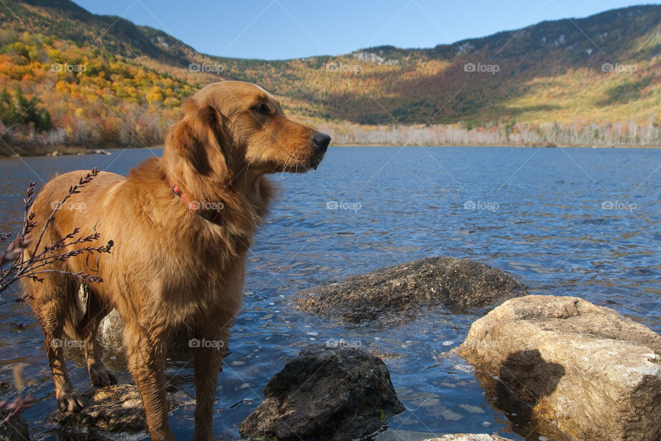 white mountains new hampshire by bobmanley