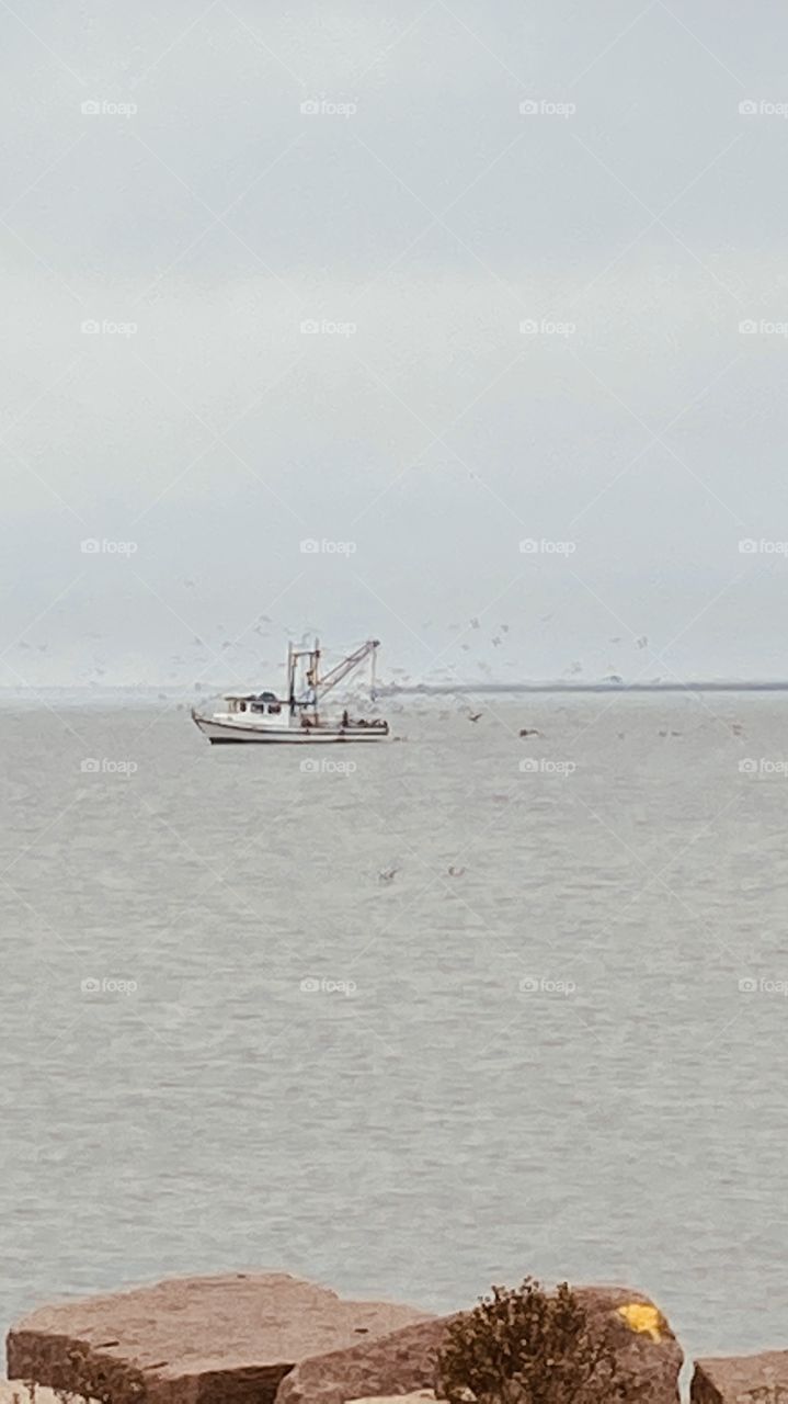 Off Dike Road in the Texas City Ship Channel which has Depth of 40 to 45 feet. Shrimpers have No issues catching Fresh Shrimp. 
