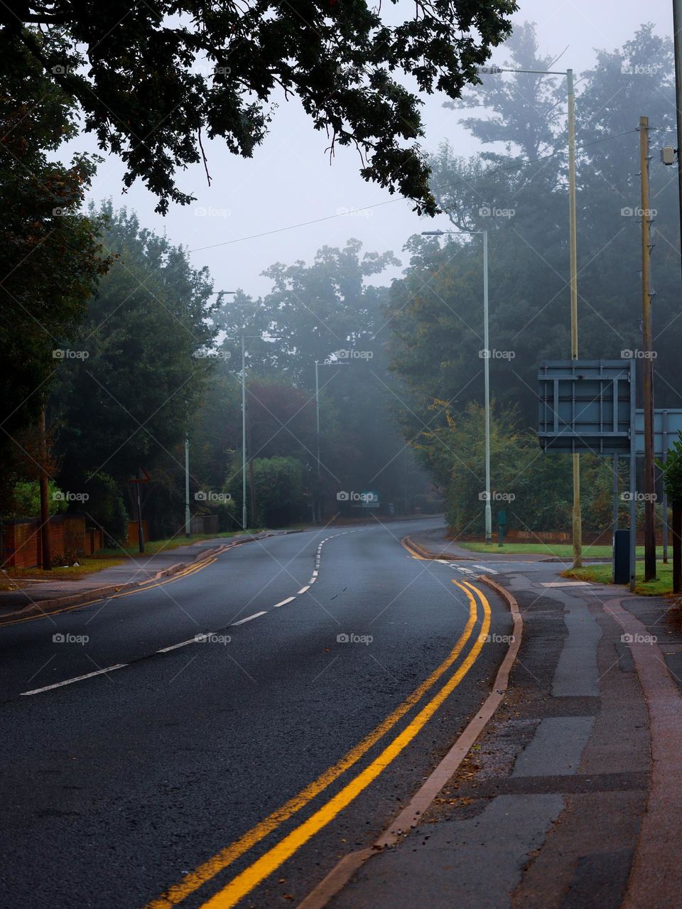 Foggy road