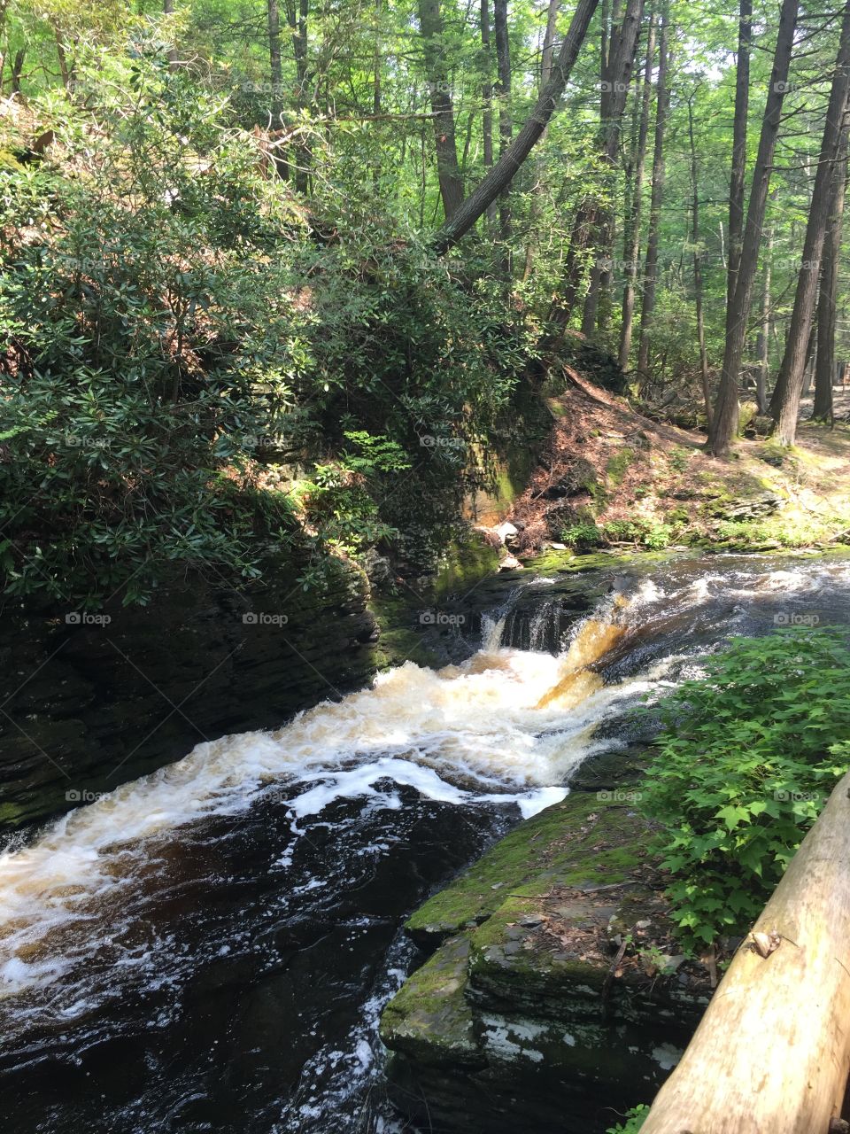 Water, Wood, Landscape, Waterfall, No Person