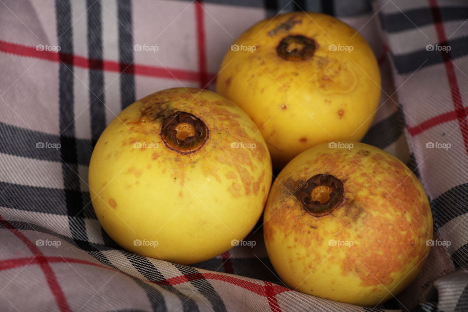Gold apple, ancient fruit that is currently close to extinction that astringent and sweet fruit.