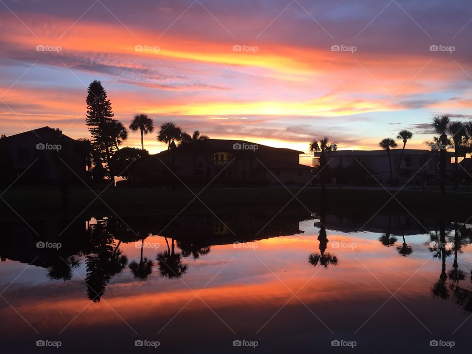 Florida Sunset . Took this photo in our front yard and was in total awe of this scene!