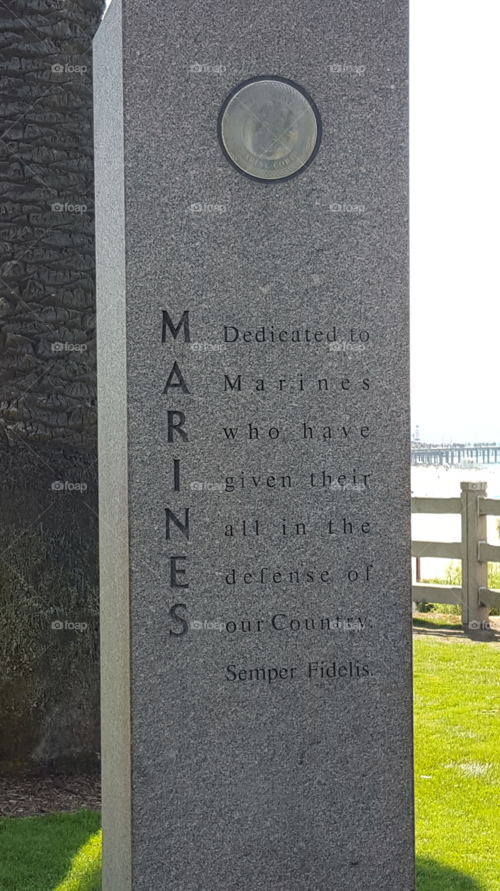 Marine plaque